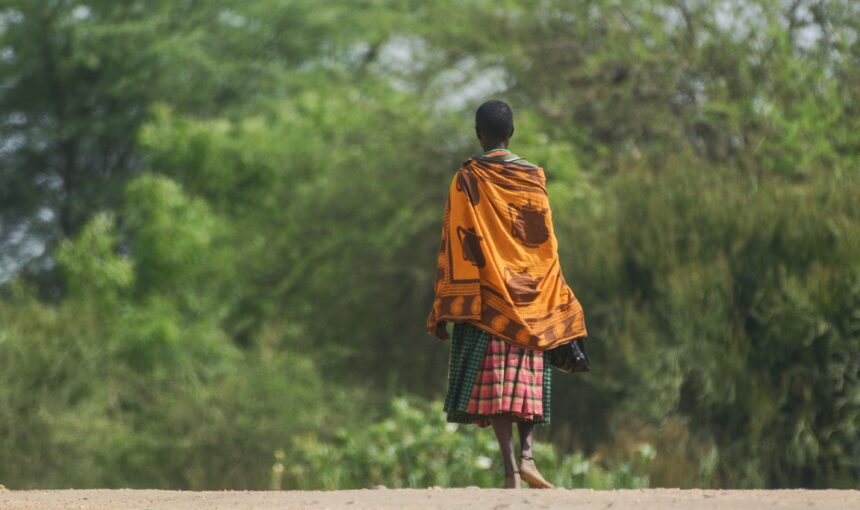 Experience A true African Wilderness (More)