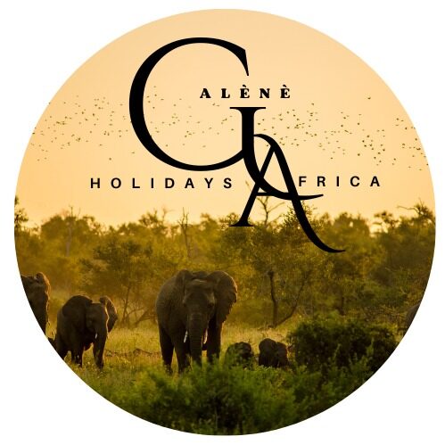 Galene Holidays Africa