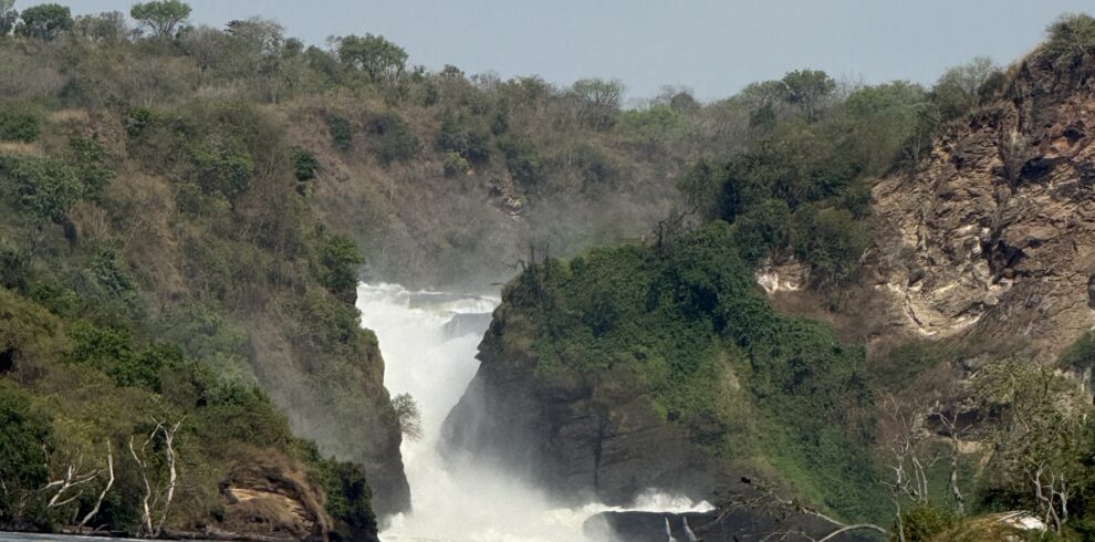 (Upload-from-mobile-1772620808)IMG_0229